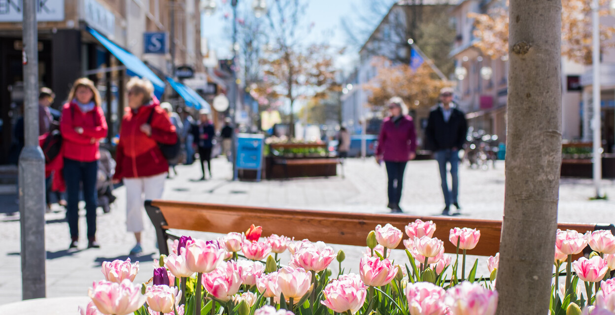 Anmälningsstart för vårterminen: 11 december kl. 10.00
